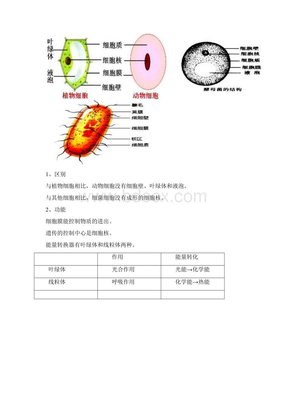 初中学业水平测试生物中考最常见考点汇总最新可下载可修改优质文档.docx_第2页