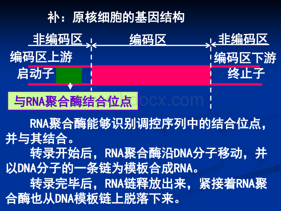 高中生物选修3-基因工程的基本操作程序PPT资料.ppt_第2页