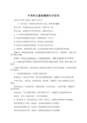 中考作文素材精美句子仿写文档格式.docx