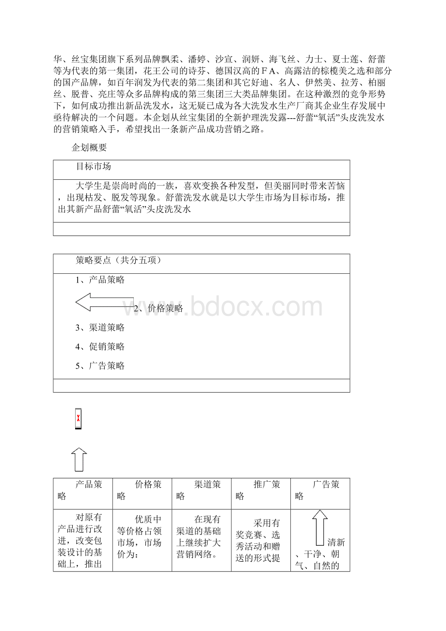 XX品牌洗发水市场推广及营销策划方案.docx_第2页