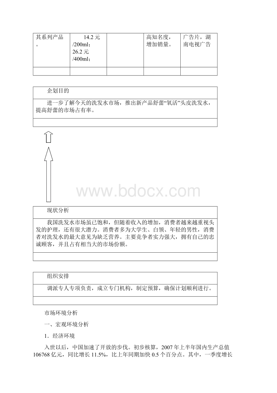 XX品牌洗发水市场推广及营销策划方案.docx_第3页