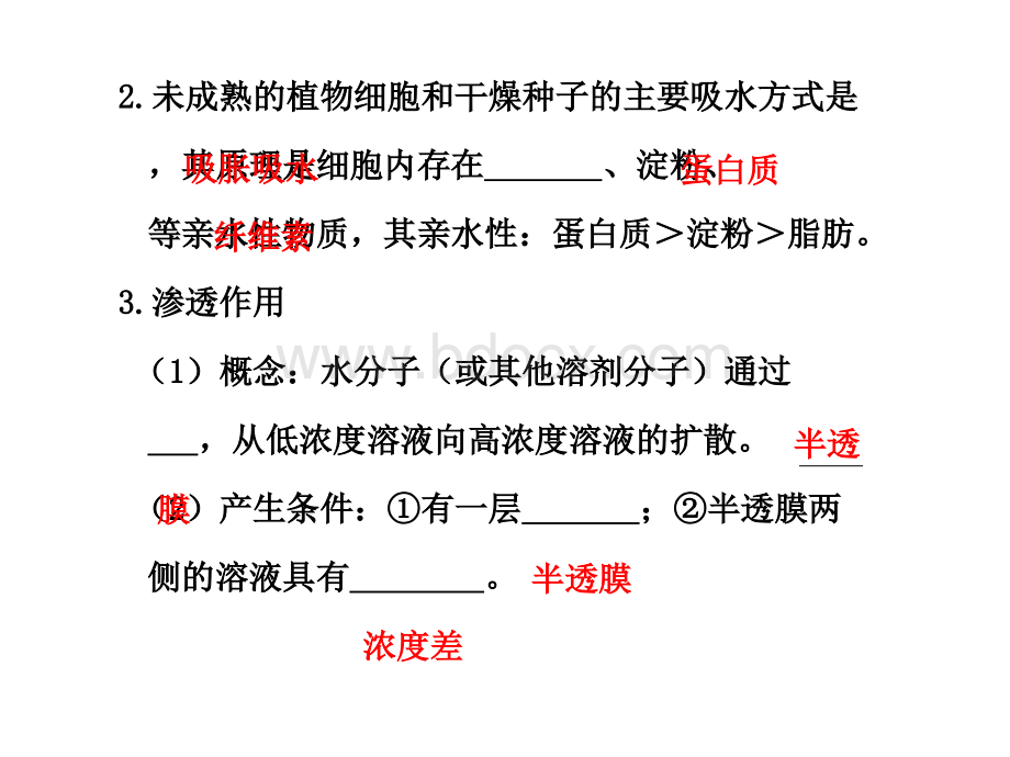 第18课时植物对水分的吸收和利用.ppt_第2页