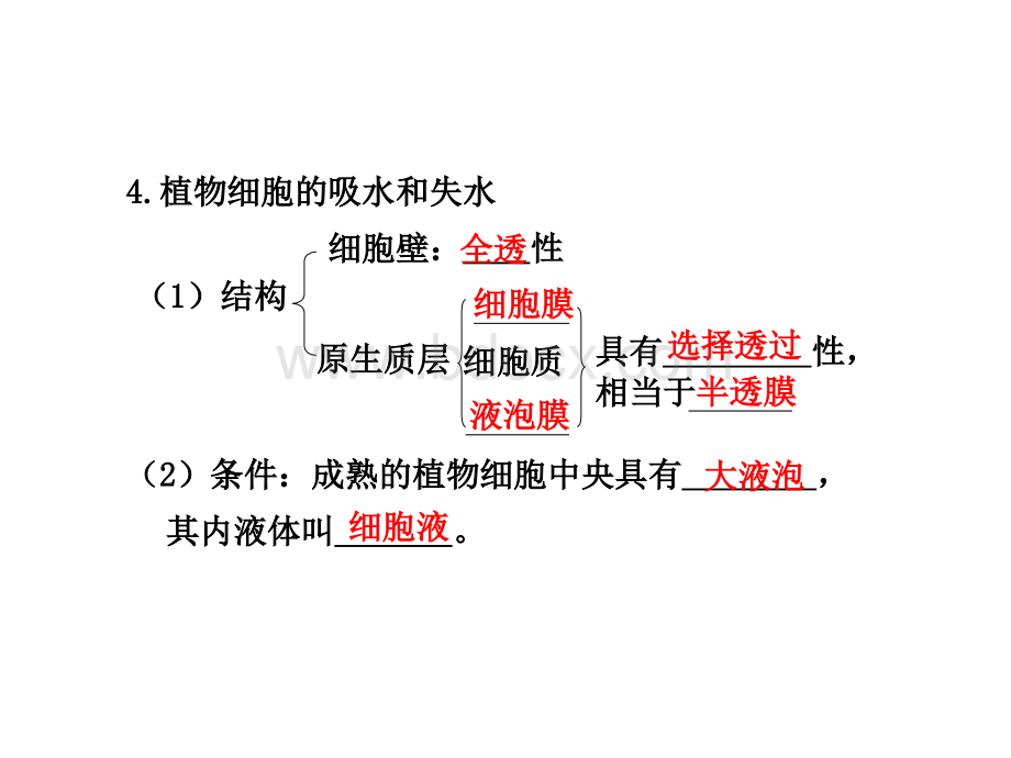 第18课时植物对水分的吸收和利用.ppt_第3页