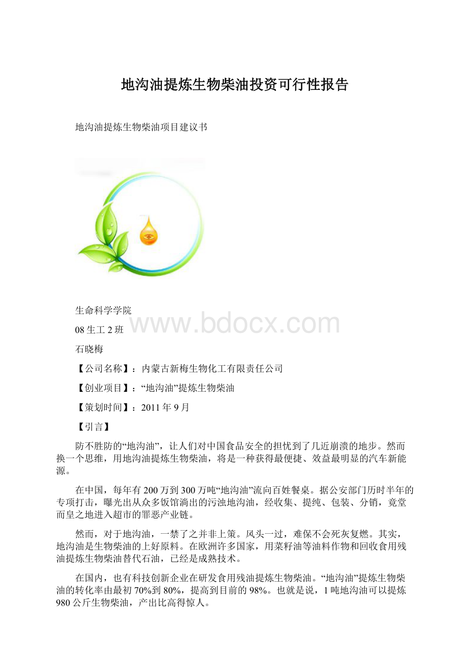 地沟油提炼生物柴油投资可行性报告.docx