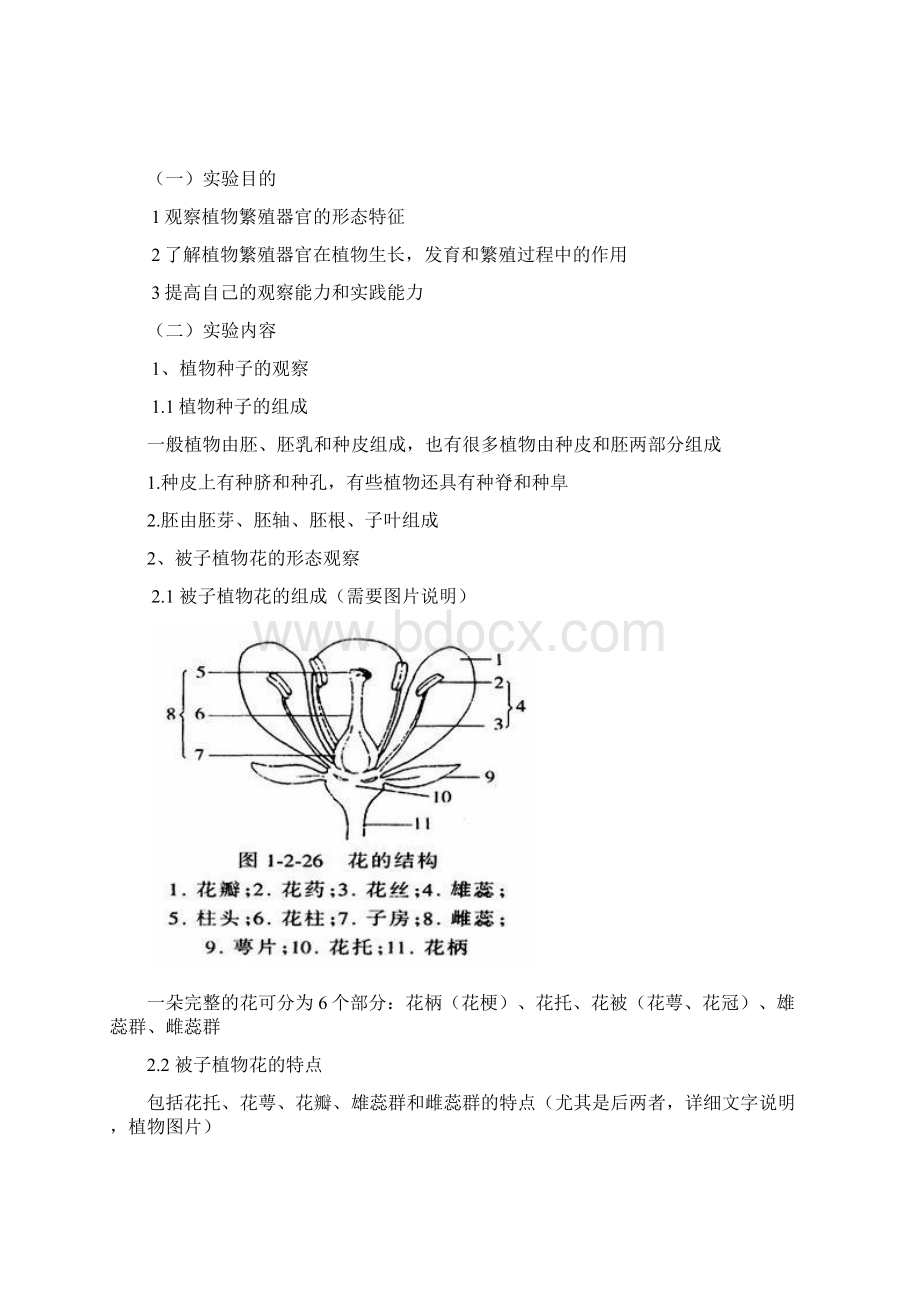 实验六植物繁殖器官的形态观察.docx_第2页