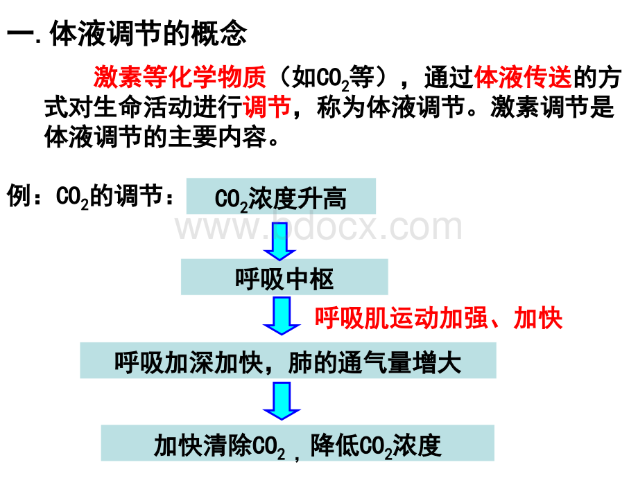 神经调节和体液调节的关系(公开课).ppt_第3页