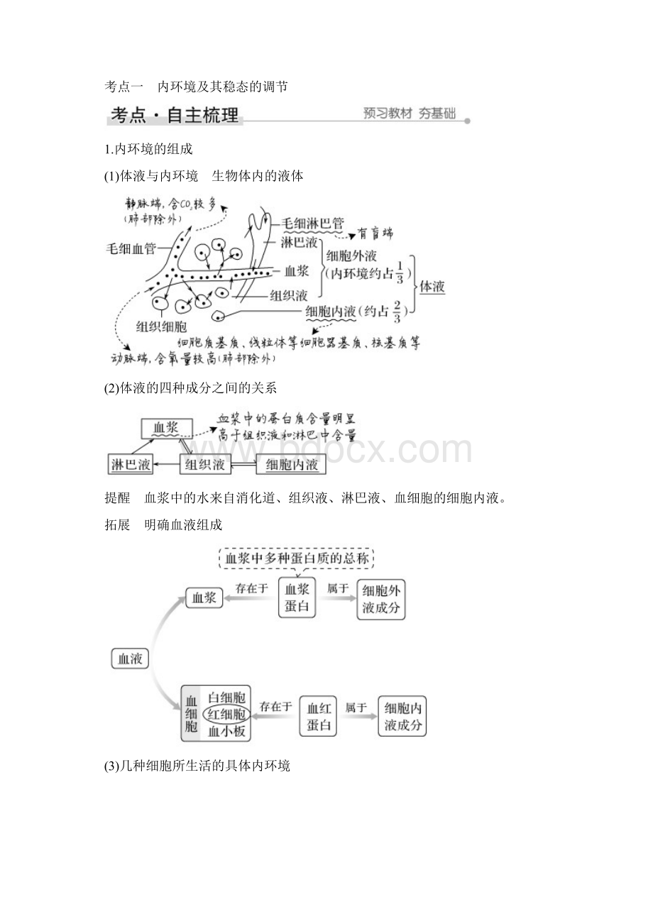 第22讲 人体内环境稳态及实例Word格式文档下载.docx_第2页