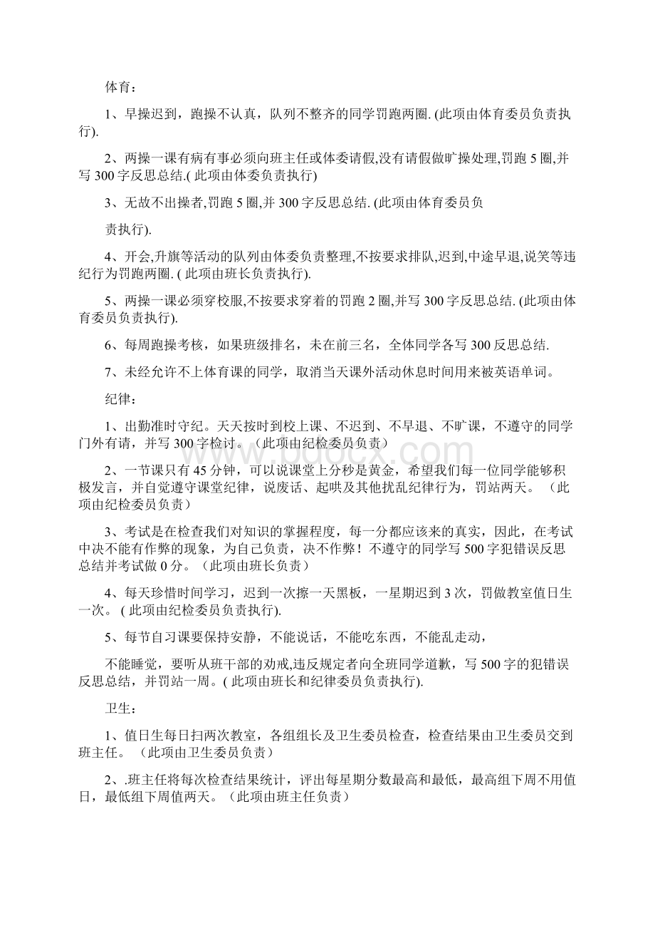 惩罚措施修改版Word文档下载推荐.docx_第3页