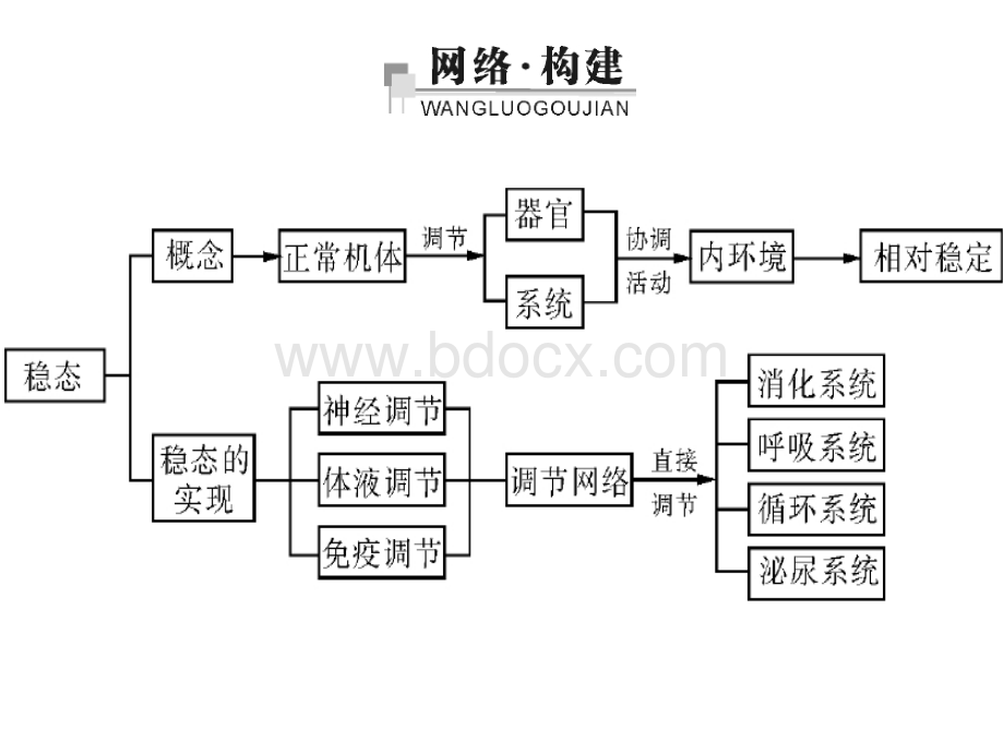 高中生物人教版必修三知识网络(全)PPT资料.ppt_第3页