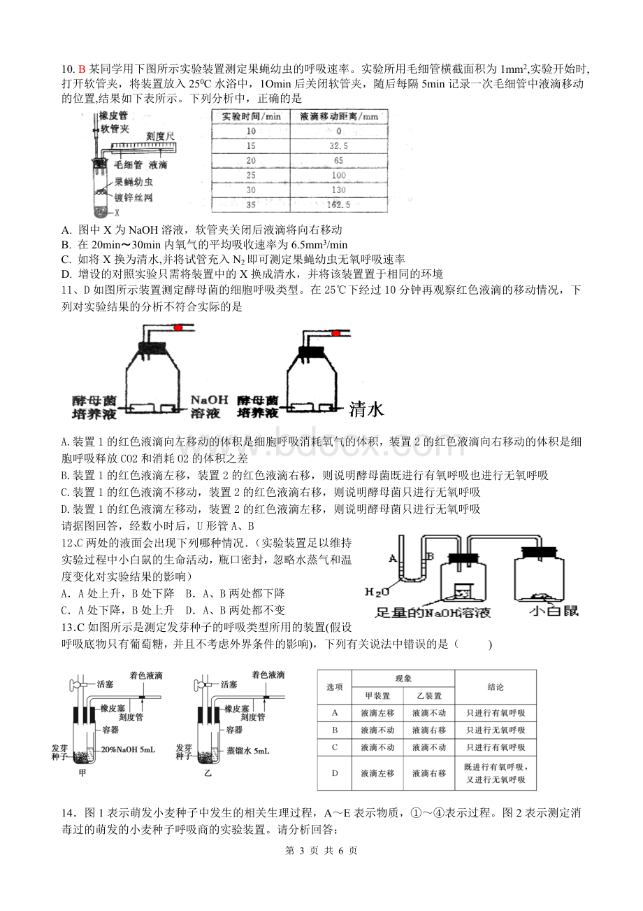 呼吸作用习题Word文档格式.doc_第3页