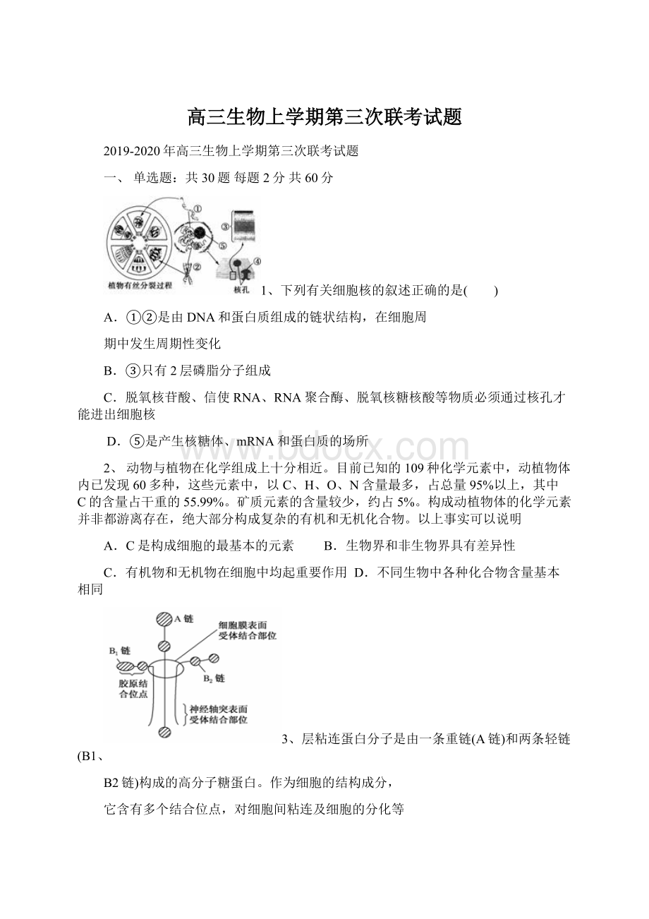 高三生物上学期第三次联考试题.docx