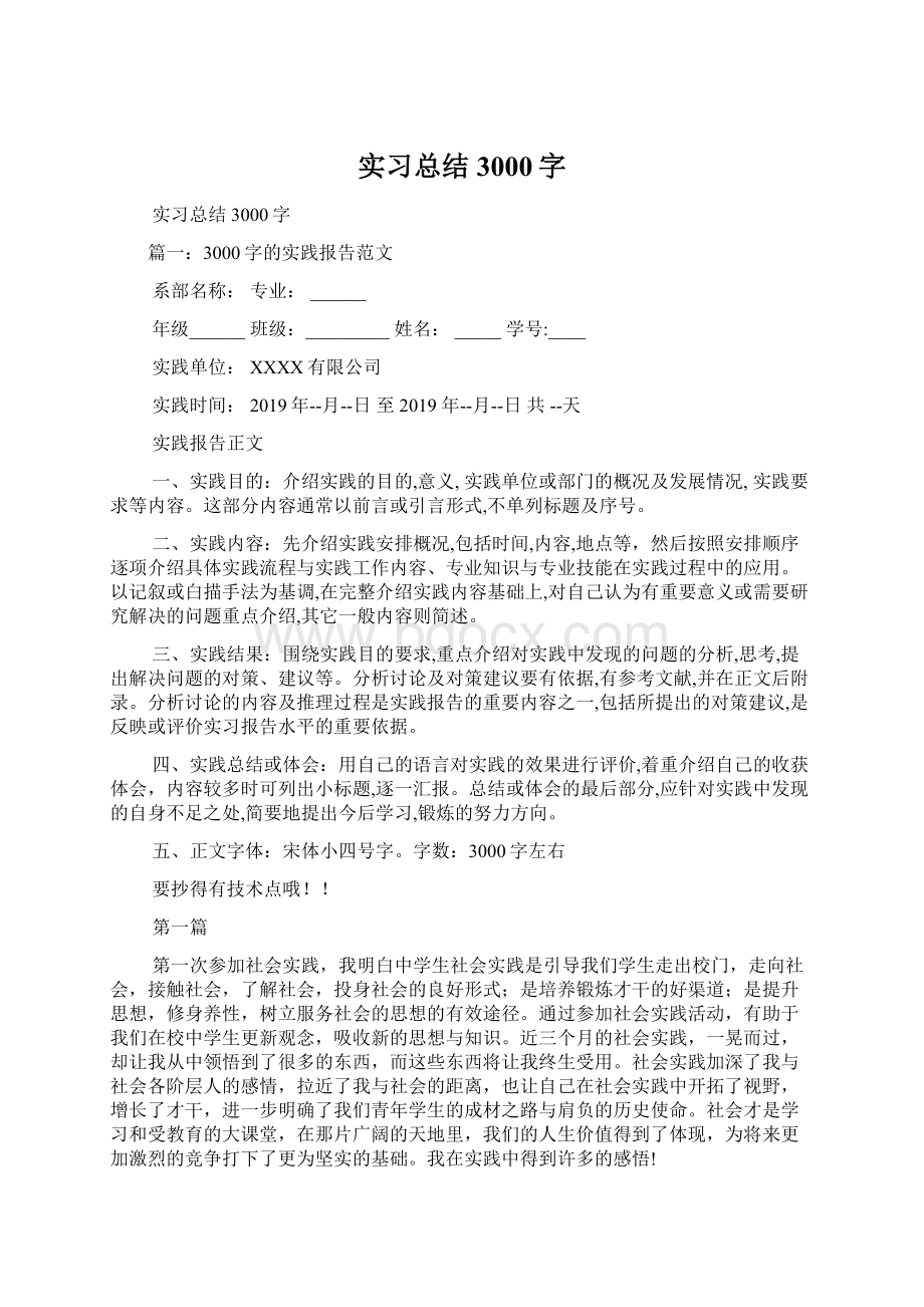 实习总结3000字文档格式.docx