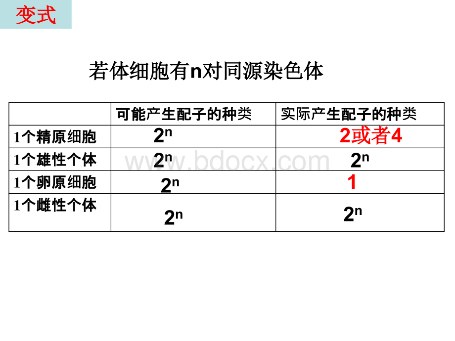 减数分裂专题复习.ppt_第1页