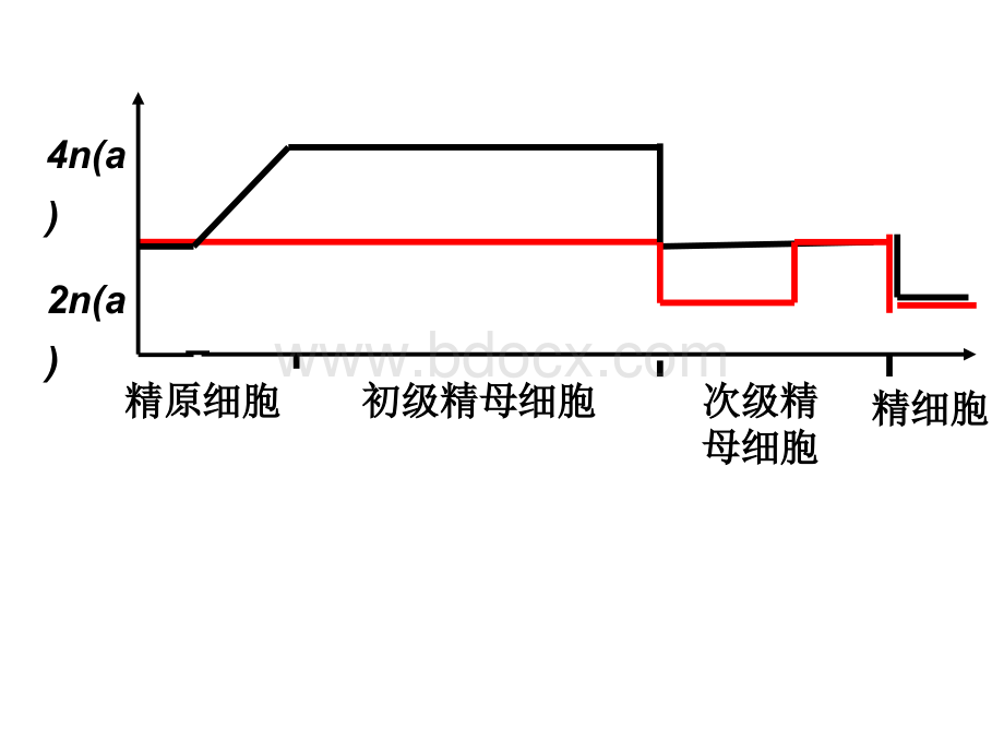 减数分裂专题复习PPT格式课件下载.ppt_第2页