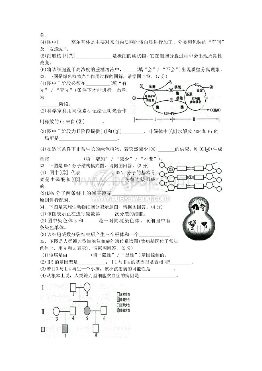 2012年6月福建省高中生物会考试题.doc_第3页