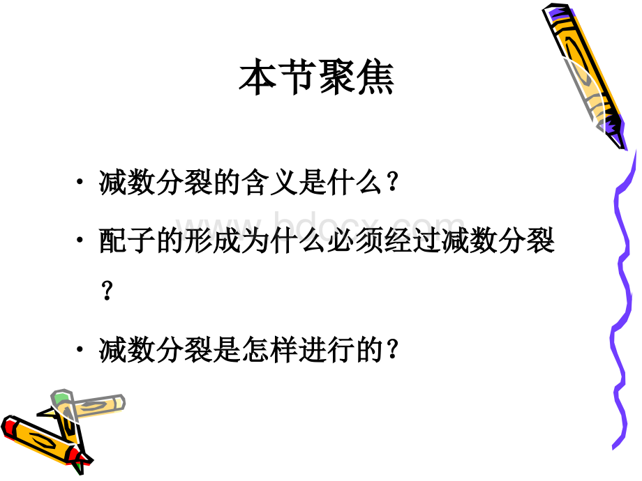 减数分裂动画版.ppt_第2页