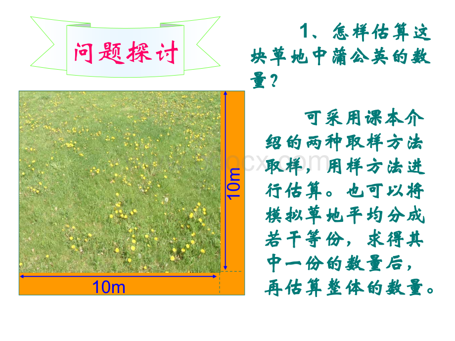 高二生物必修三4.1《种群的特征》PPT课件.ppt_第3页