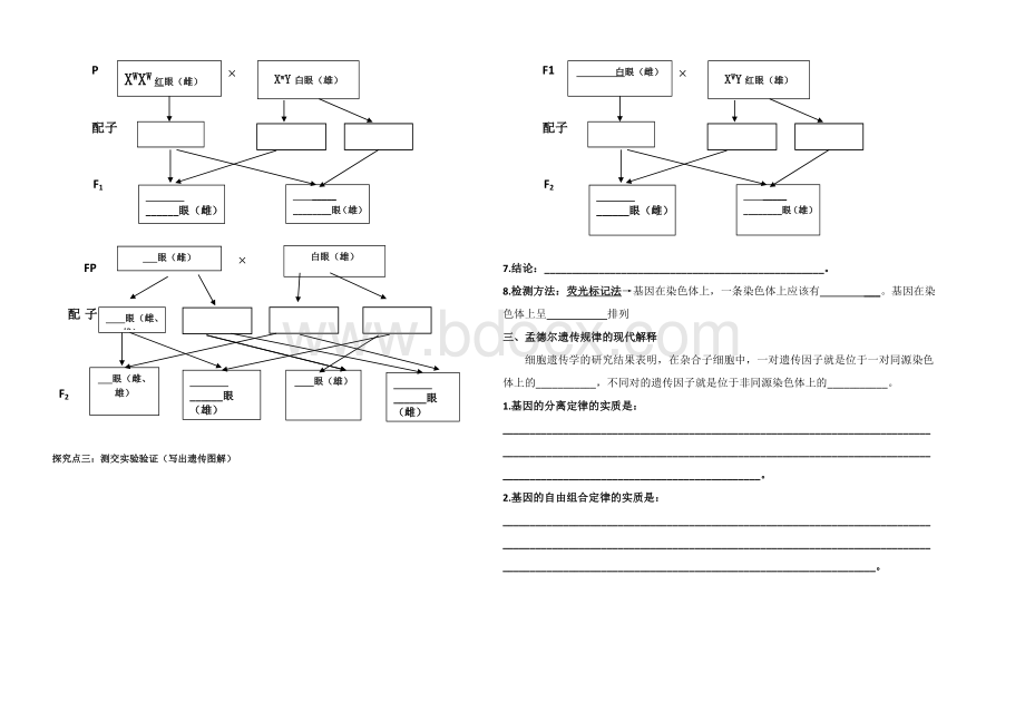 基因位于染色体上导学案高效课堂.docx_第2页