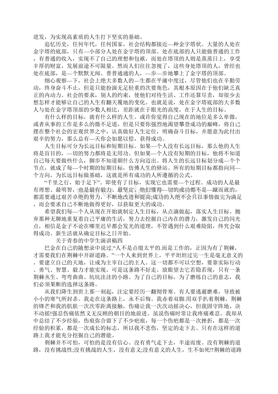 关于青春的中学生演讲稿5篇Word文件下载.docx_第3页