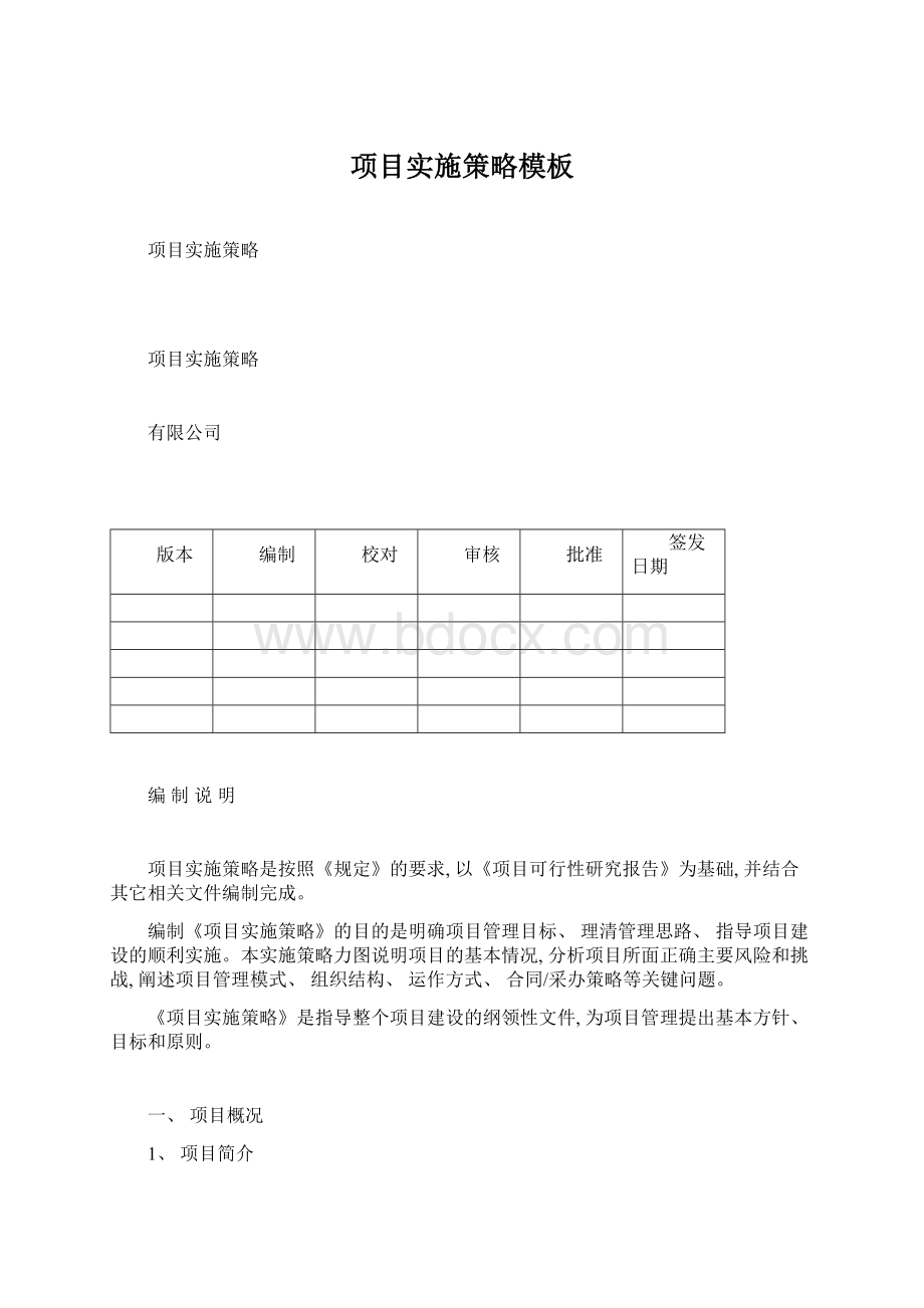 项目实施策略模板Word格式.docx