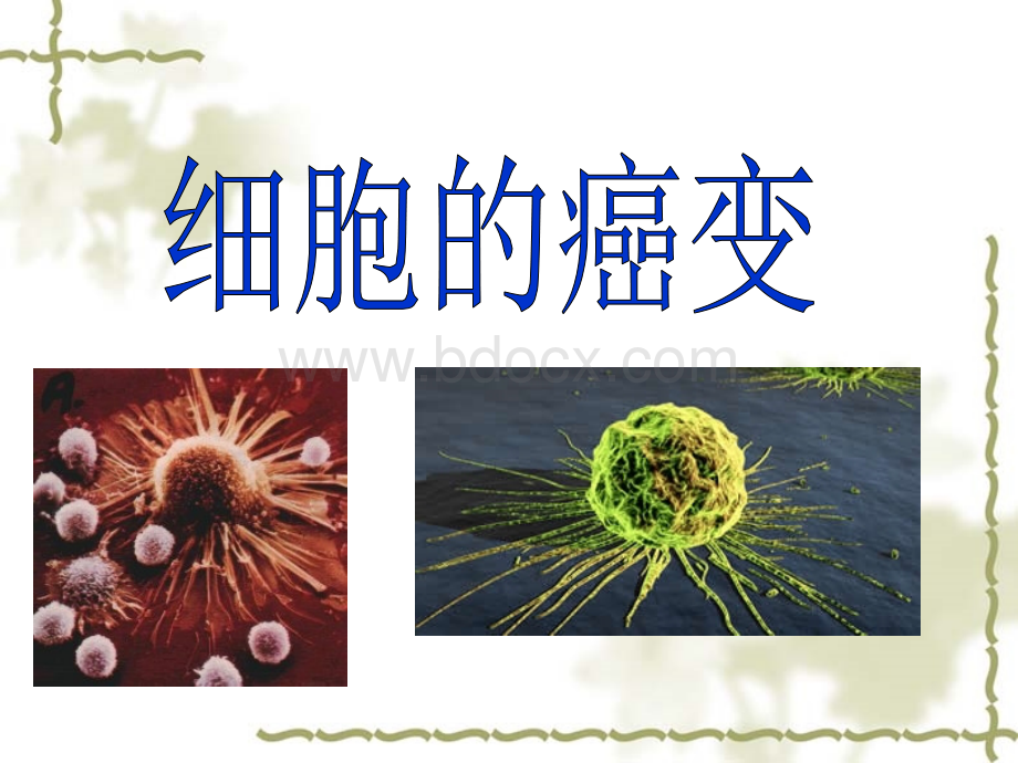 《细胞的癌变》.ppt_第1页