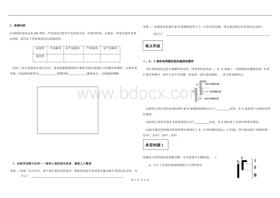 伴性遗传学案.docx_第3页