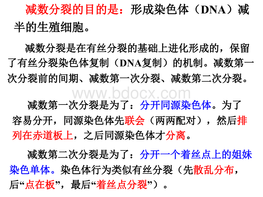 减数分裂一轮复习.ppt_第2页