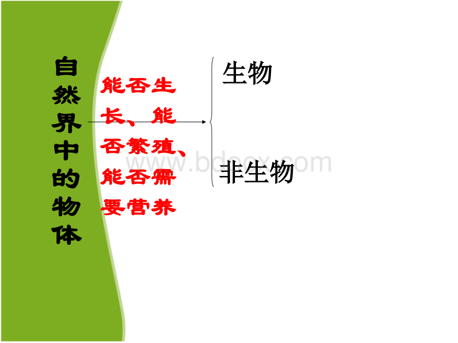 常见的动物.ppt_第3页