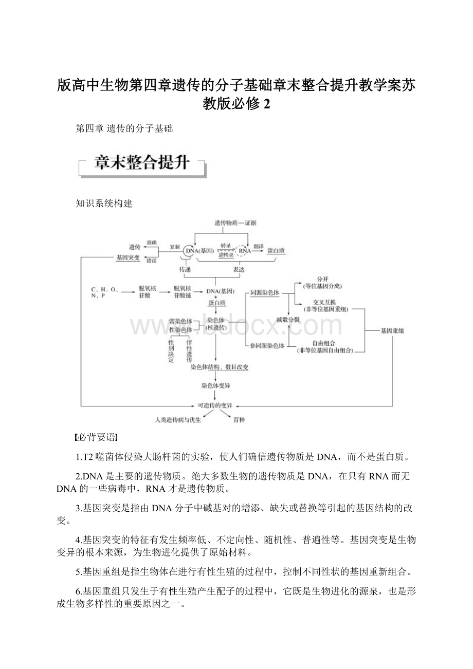 版高中生物第四章遗传的分子基础章末整合提升教学案苏教版必修2Word文档格式.docx_第1页