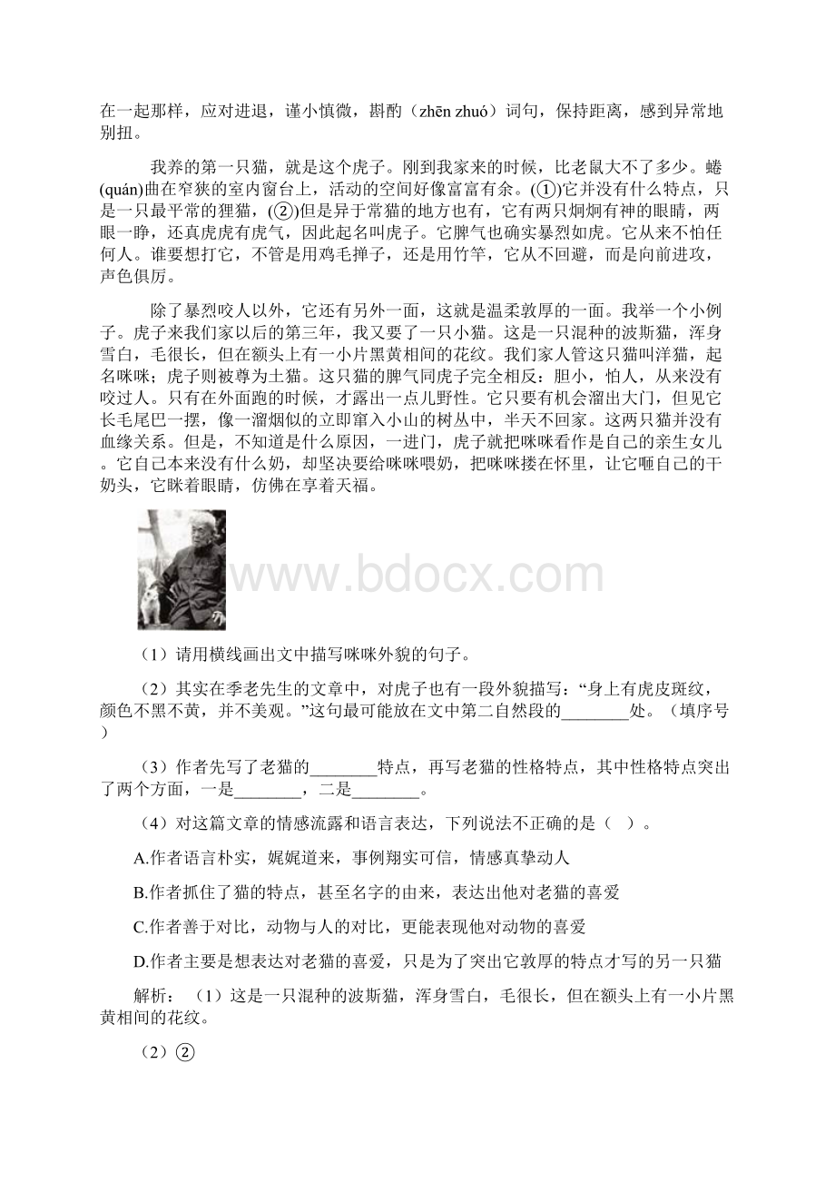 四年级语文 阅读题专项训练带答案解析.docx_第3页