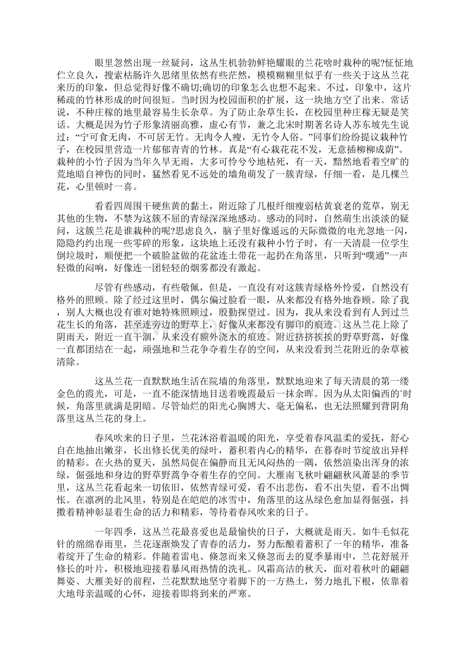 兰花的优美散文作文五篇Word文件下载.docx_第2页