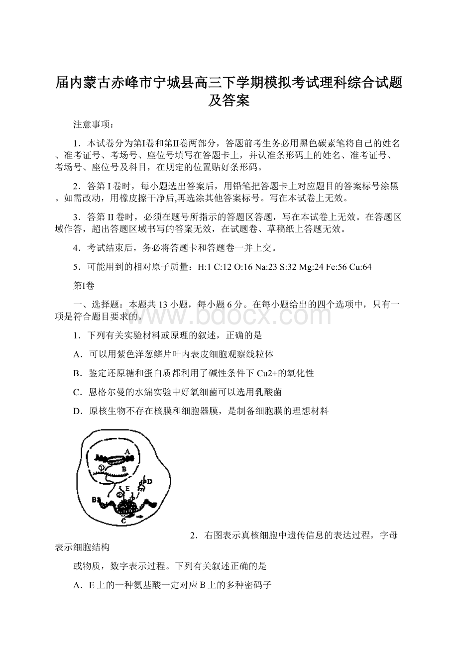 届内蒙古赤峰市宁城县高三下学期模拟考试理科综合试题及答案Word格式.docx