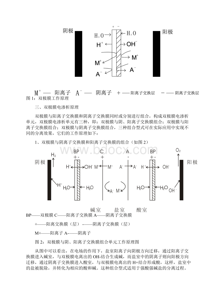 双极膜的应用与展望Word文档下载推荐.docx_第2页