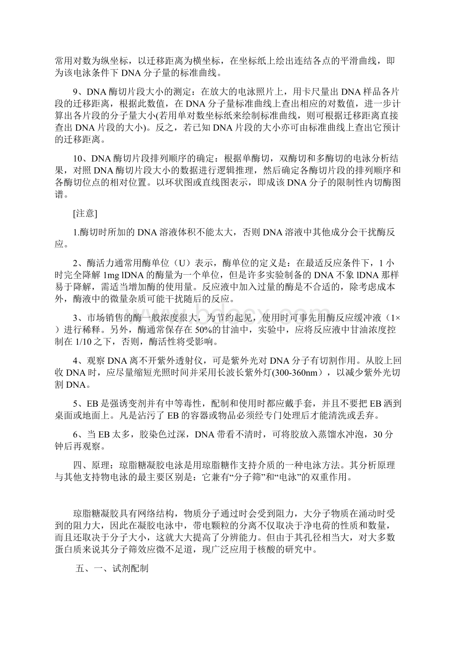 琼脂糖电泳文档格式.docx_第3页