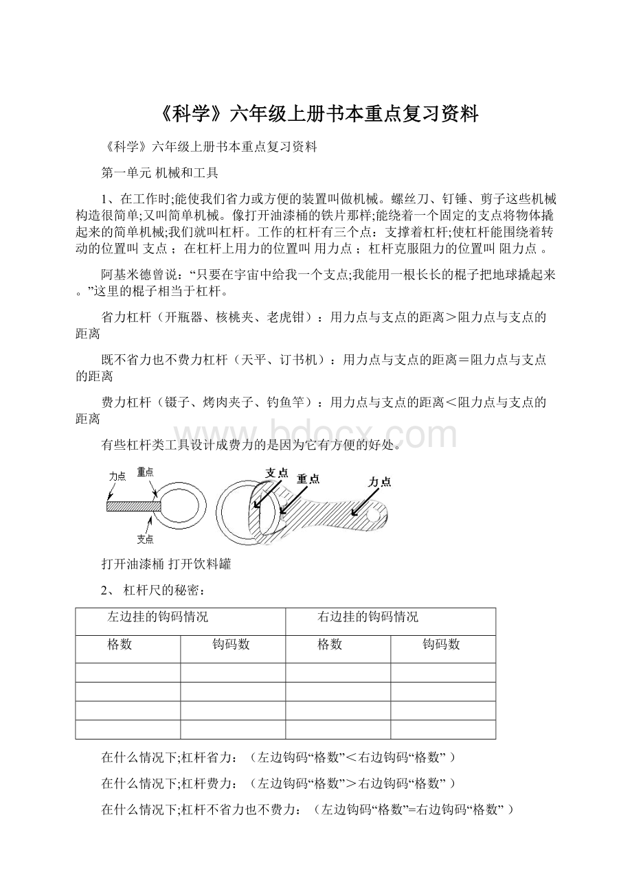 《科学》六年级上册书本重点复习资料.docx_第1页