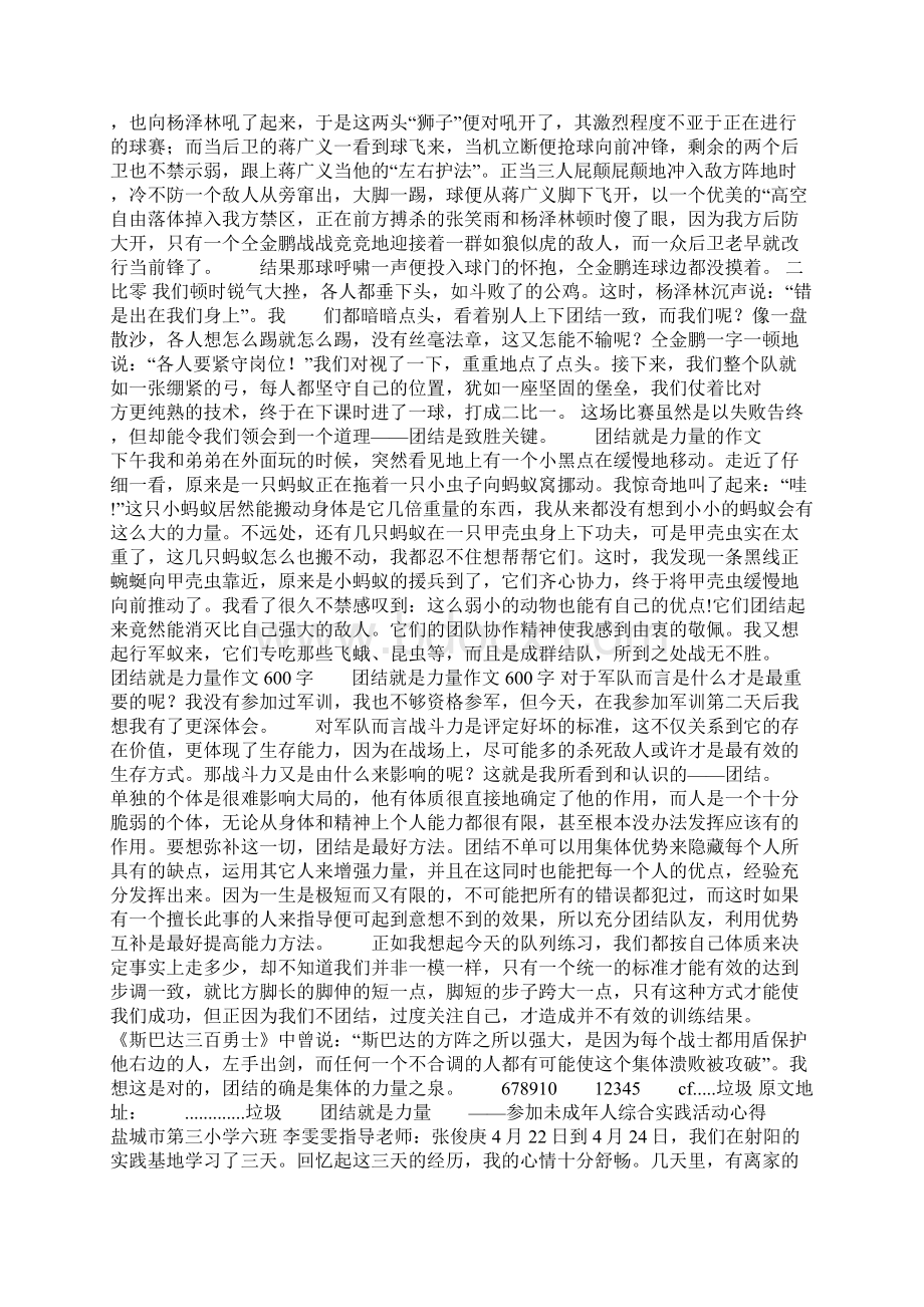 团结就是力量作文精选多篇.docx_第2页