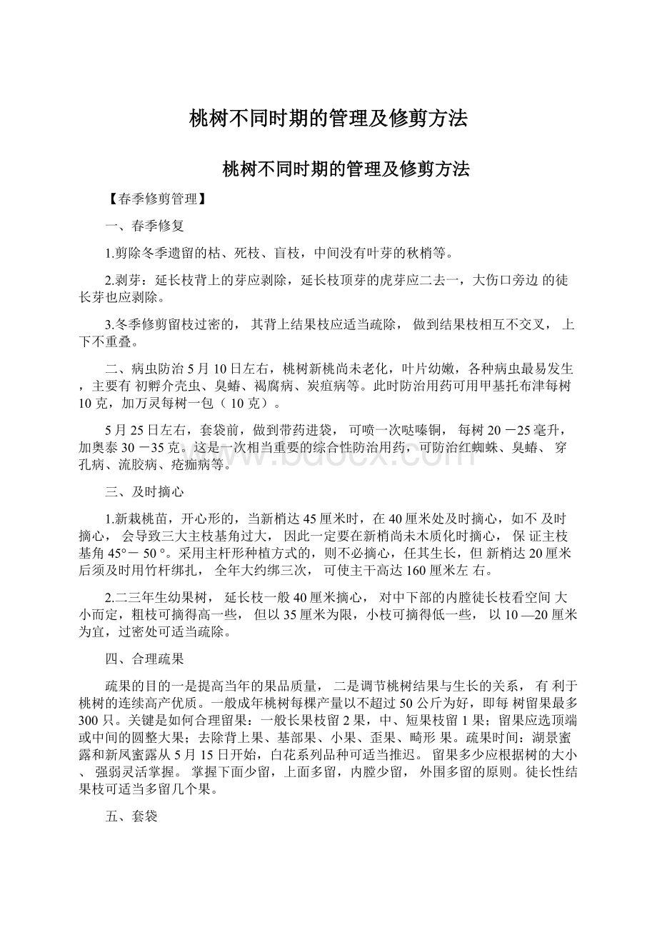 桃树不同时期的管理及修剪方法Word文档下载推荐.docx