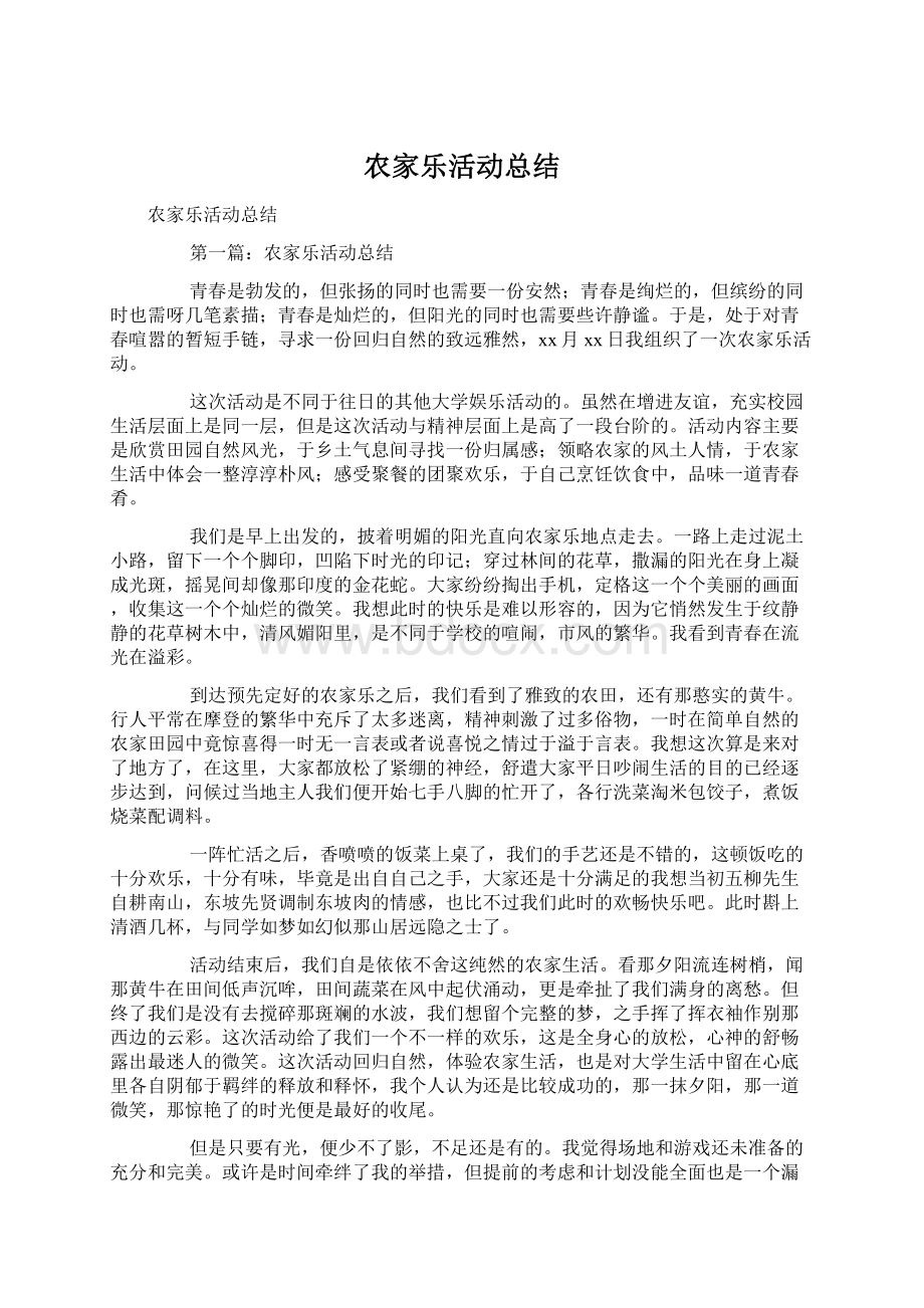 农家乐活动总结Word下载.docx_第1页