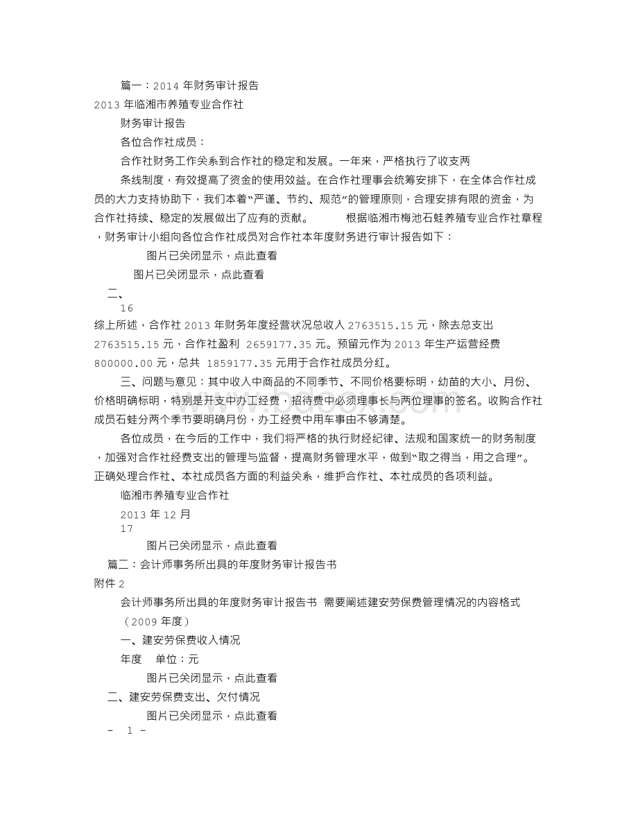 年度财务审计报告(共3篇).doc_第1页