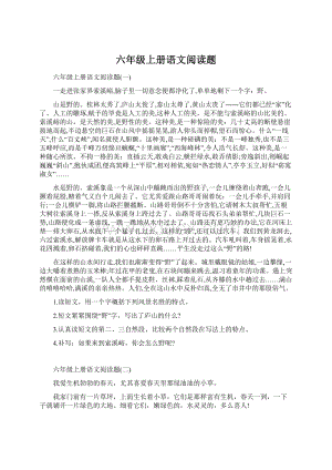 六年级上册语文阅读题Word下载.docx