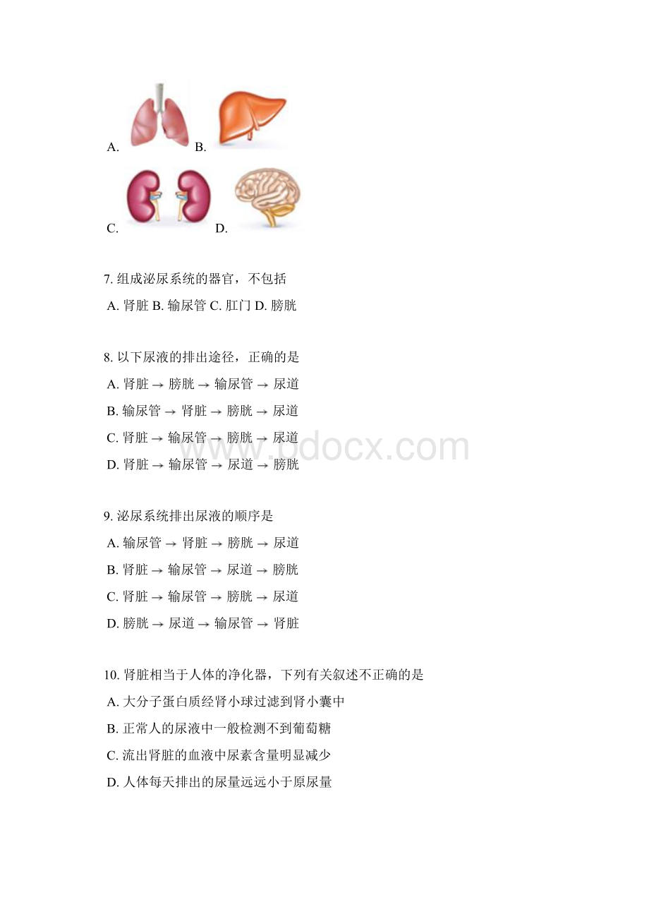 北师大版七年级生物下册单元检测卷第4单元 第11章 人体代谢废物的排出word版含答案解析.docx_第2页