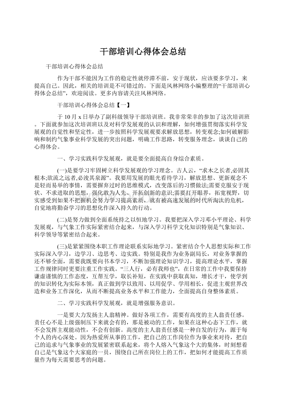 干部培训心得体会总结Word下载.docx