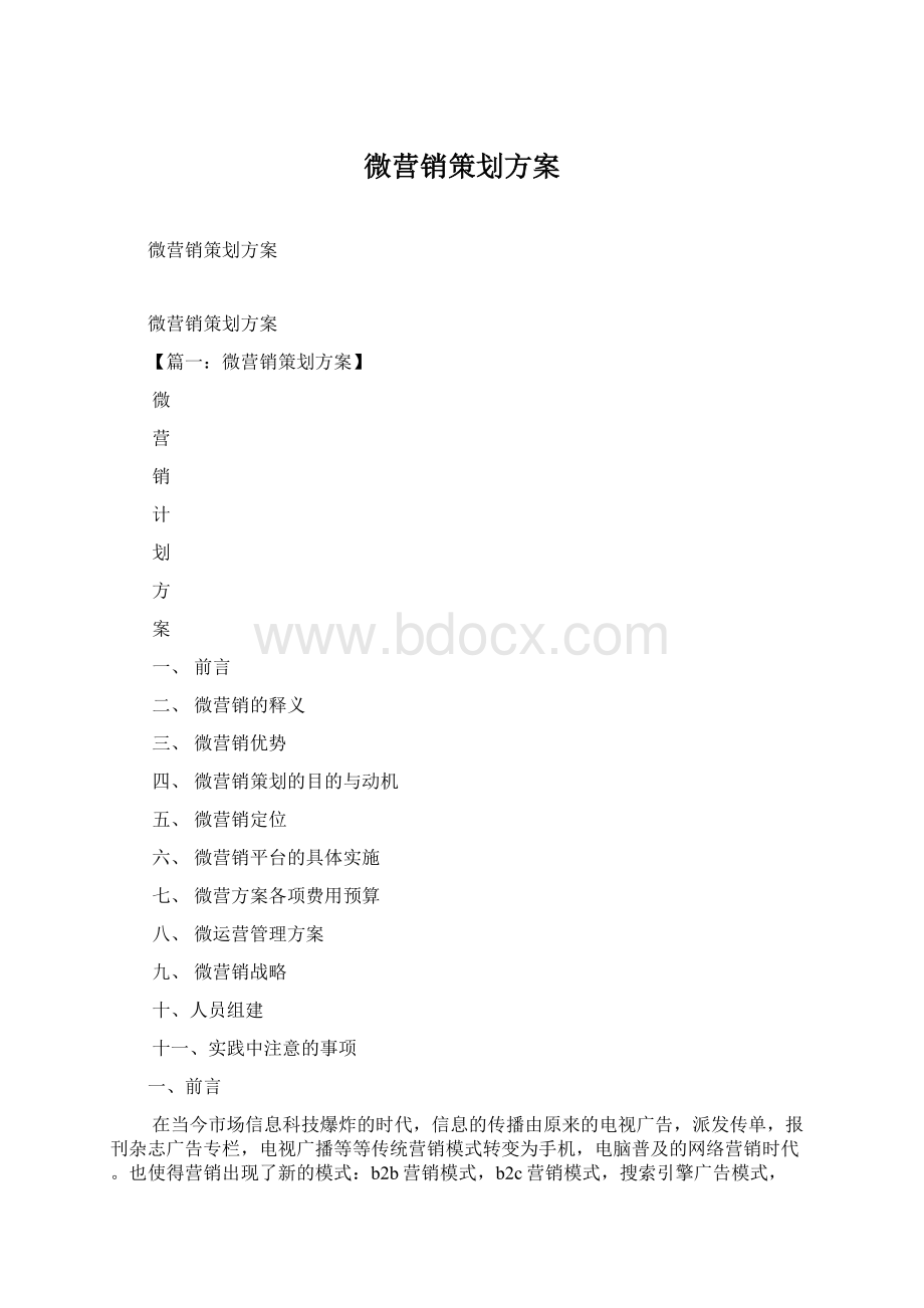 微营销策划方案Word文档格式.docx