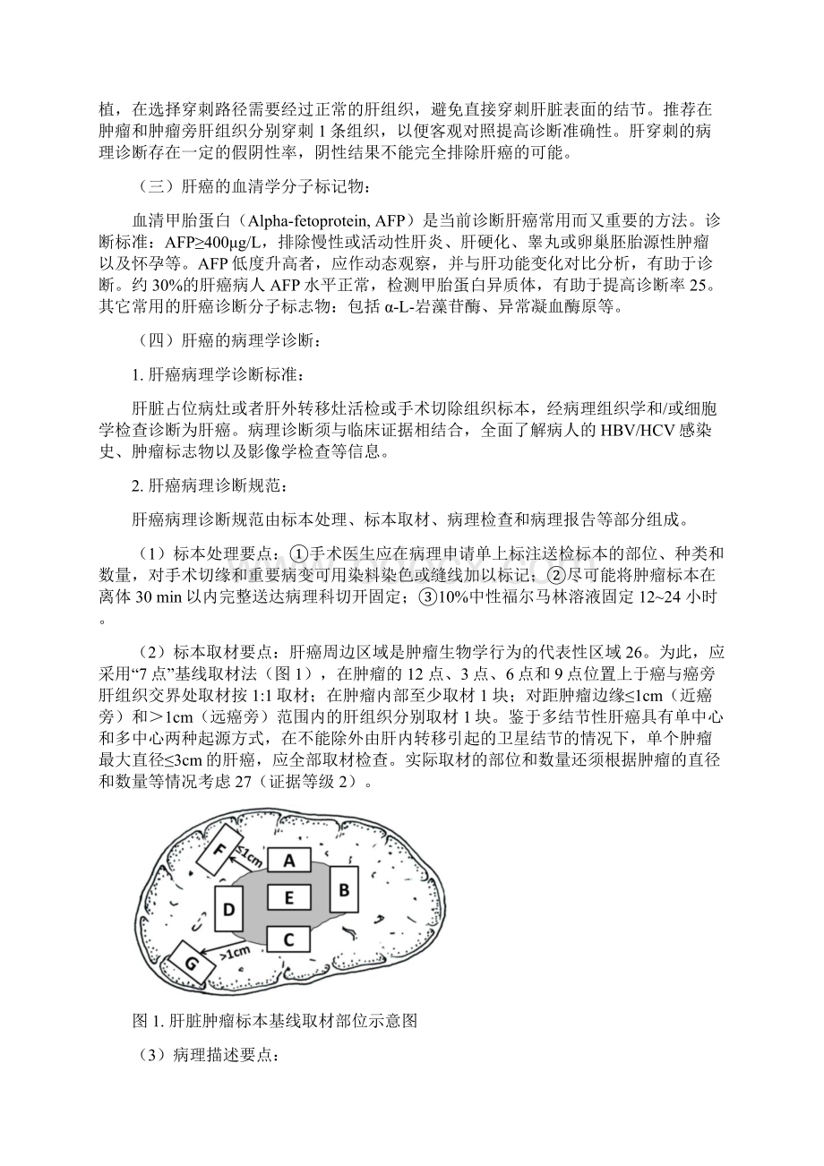 原发性肝癌诊疗规范版.docx_第3页