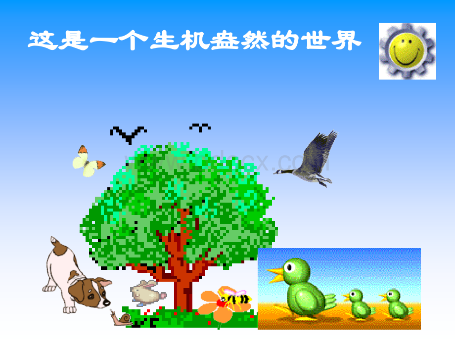 动物在生物圈中的作用1.ppt