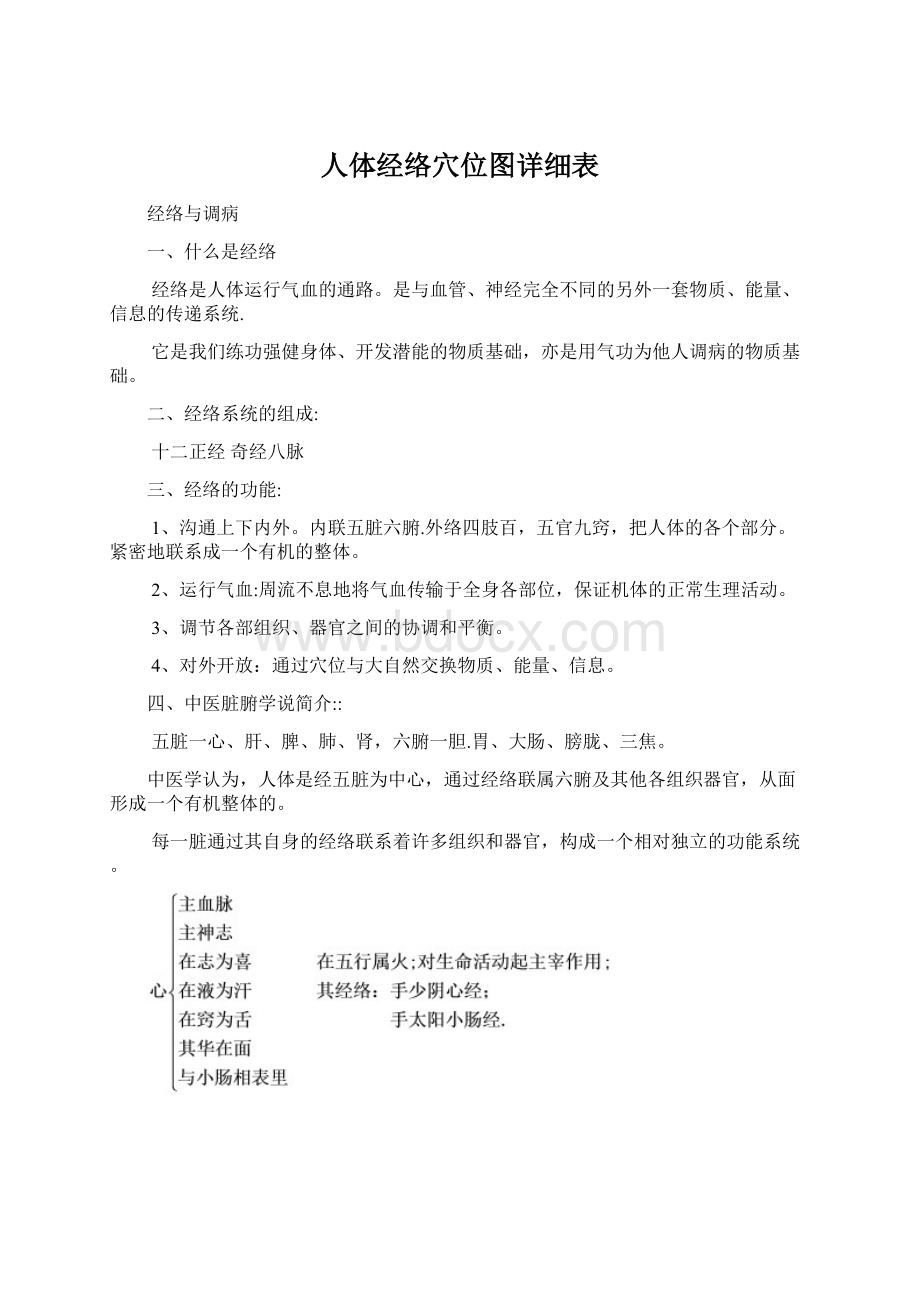 人体经络穴位图详细表文档格式.docx_第1页