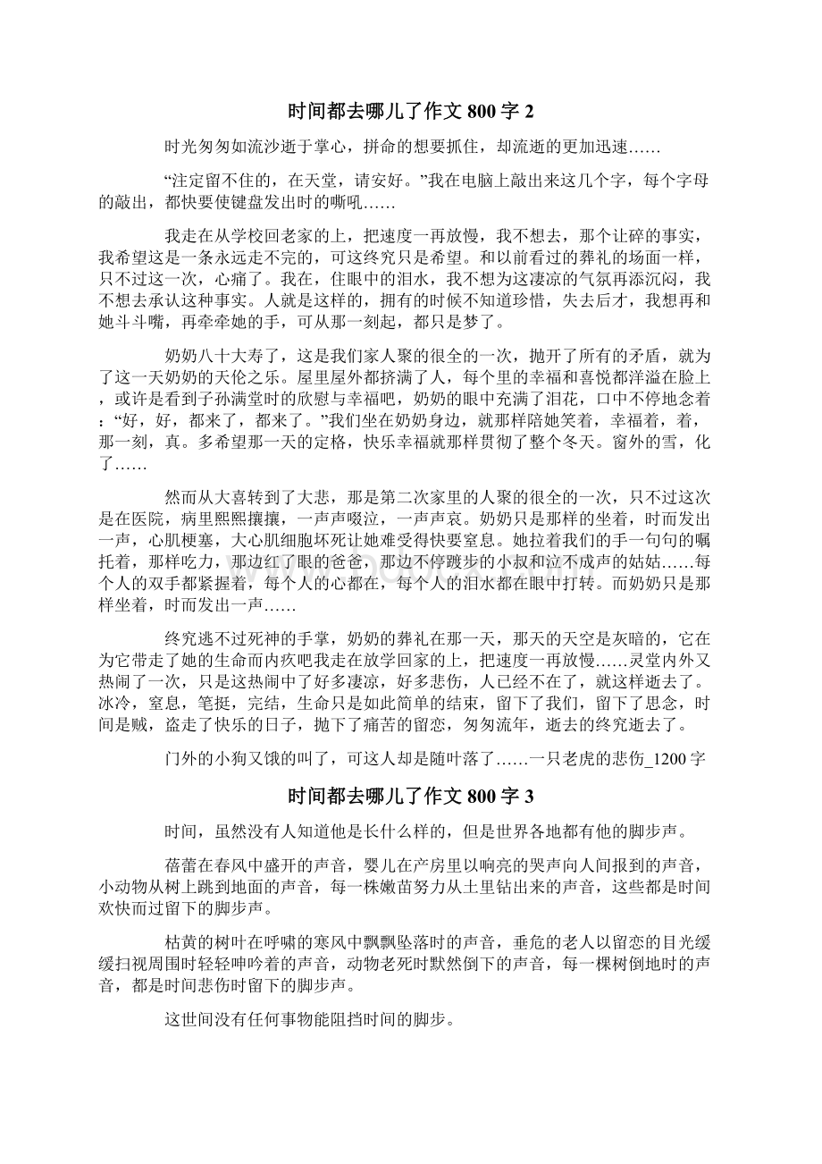 时间都去哪儿了作文800字文档格式.docx_第2页