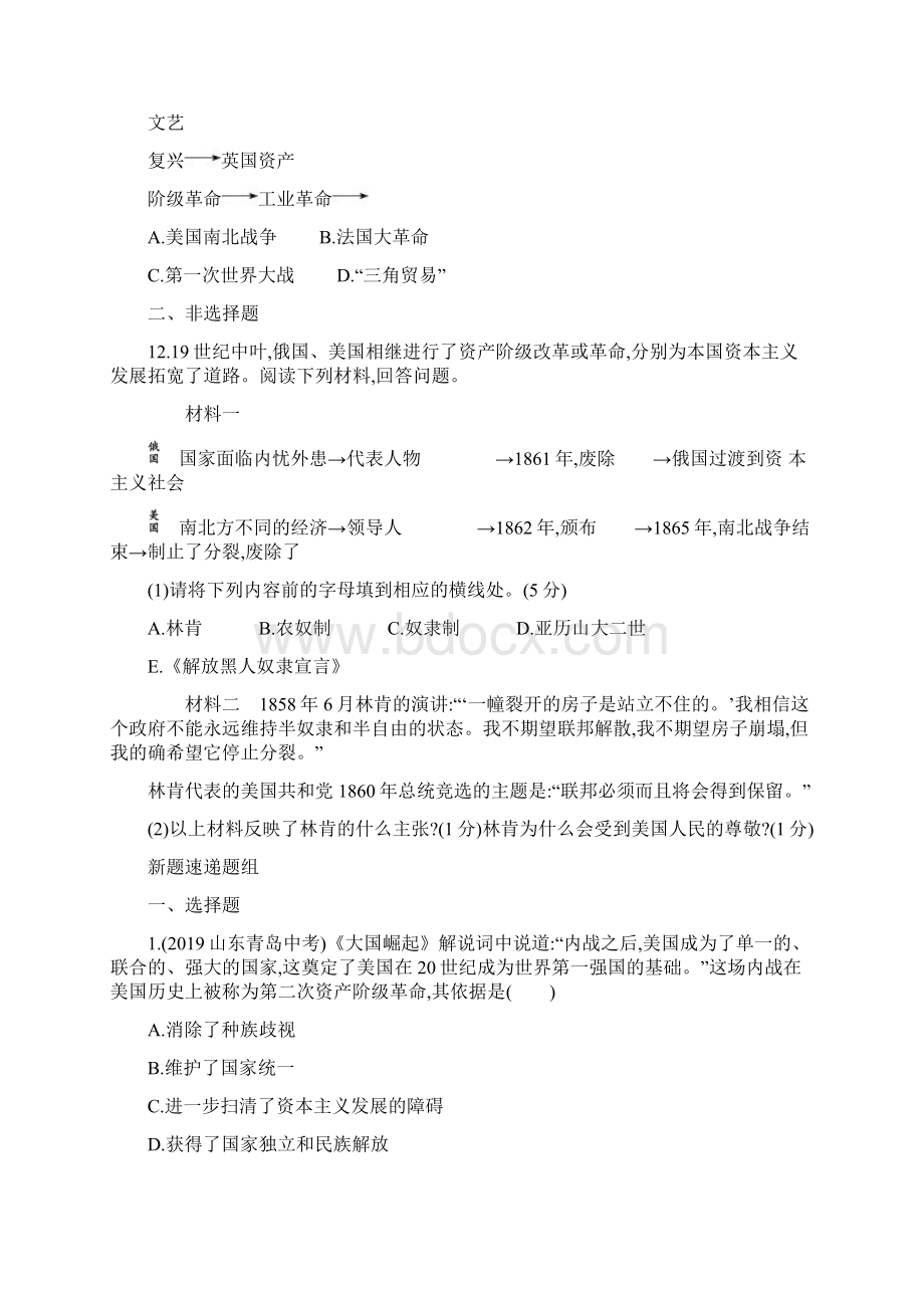 主题十六 资本主义制度的扩展可编辑word.docx_第3页