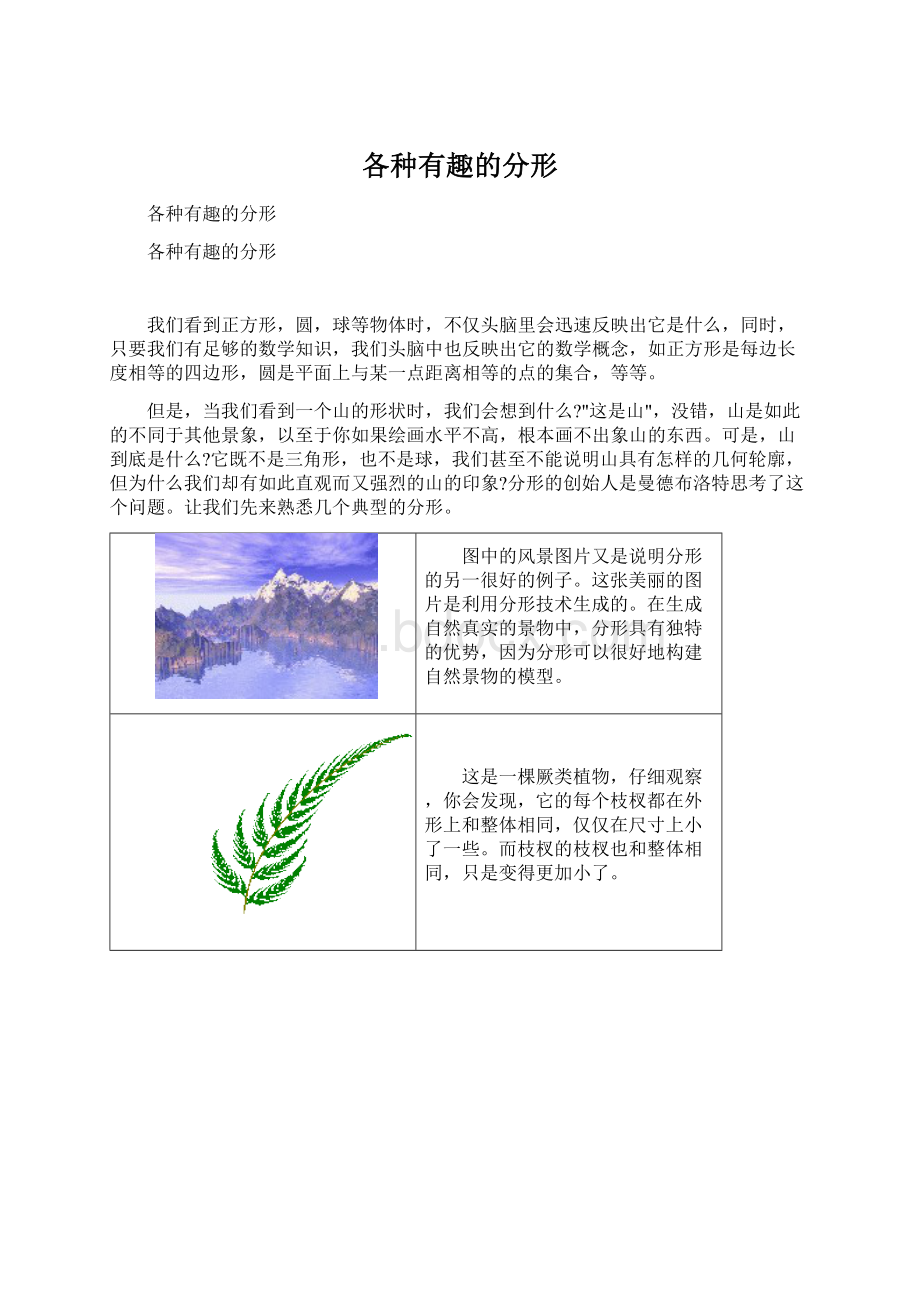 各种有趣的分形Word格式文档下载.docx_第1页