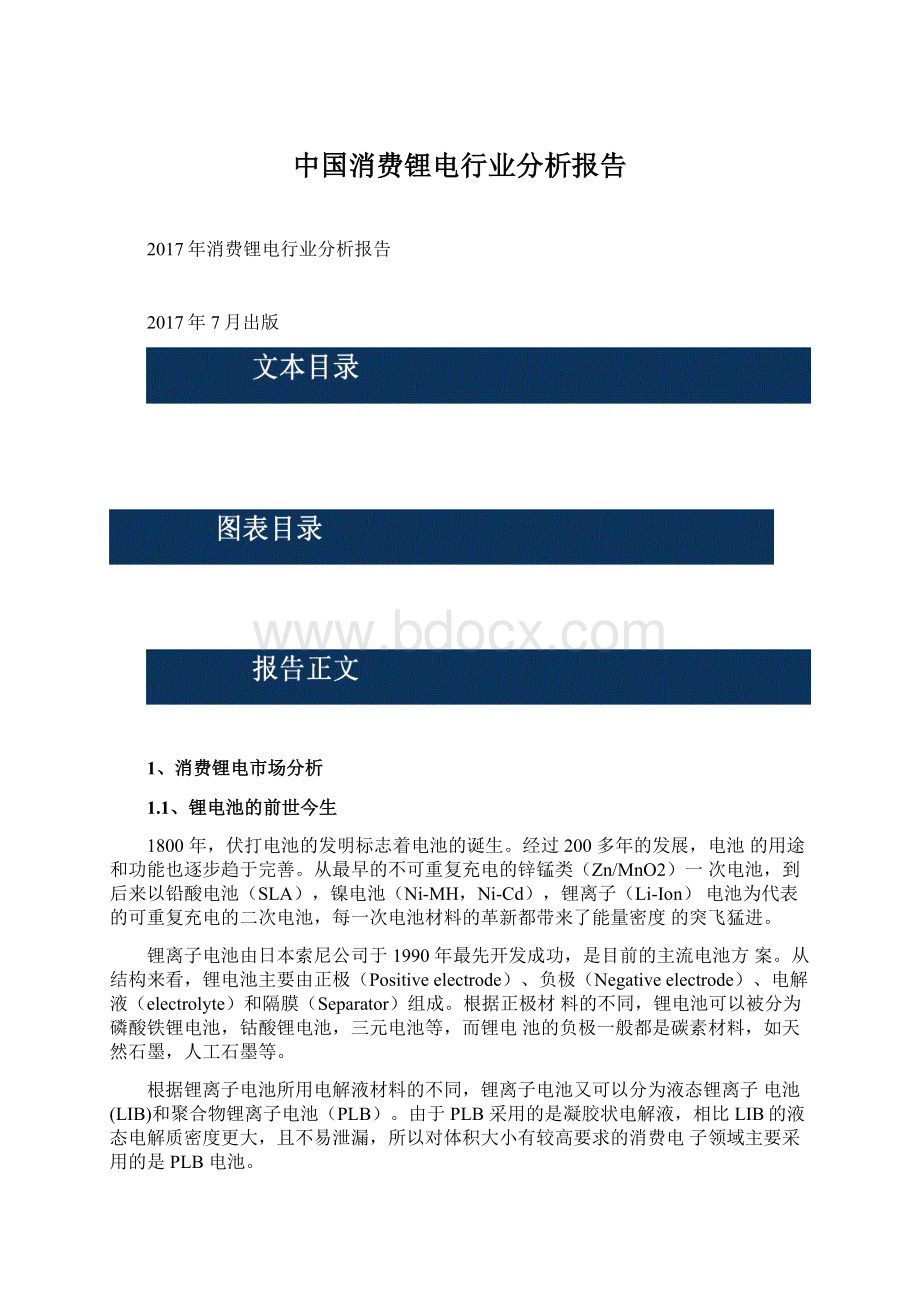 中国消费锂电行业分析报告.docx